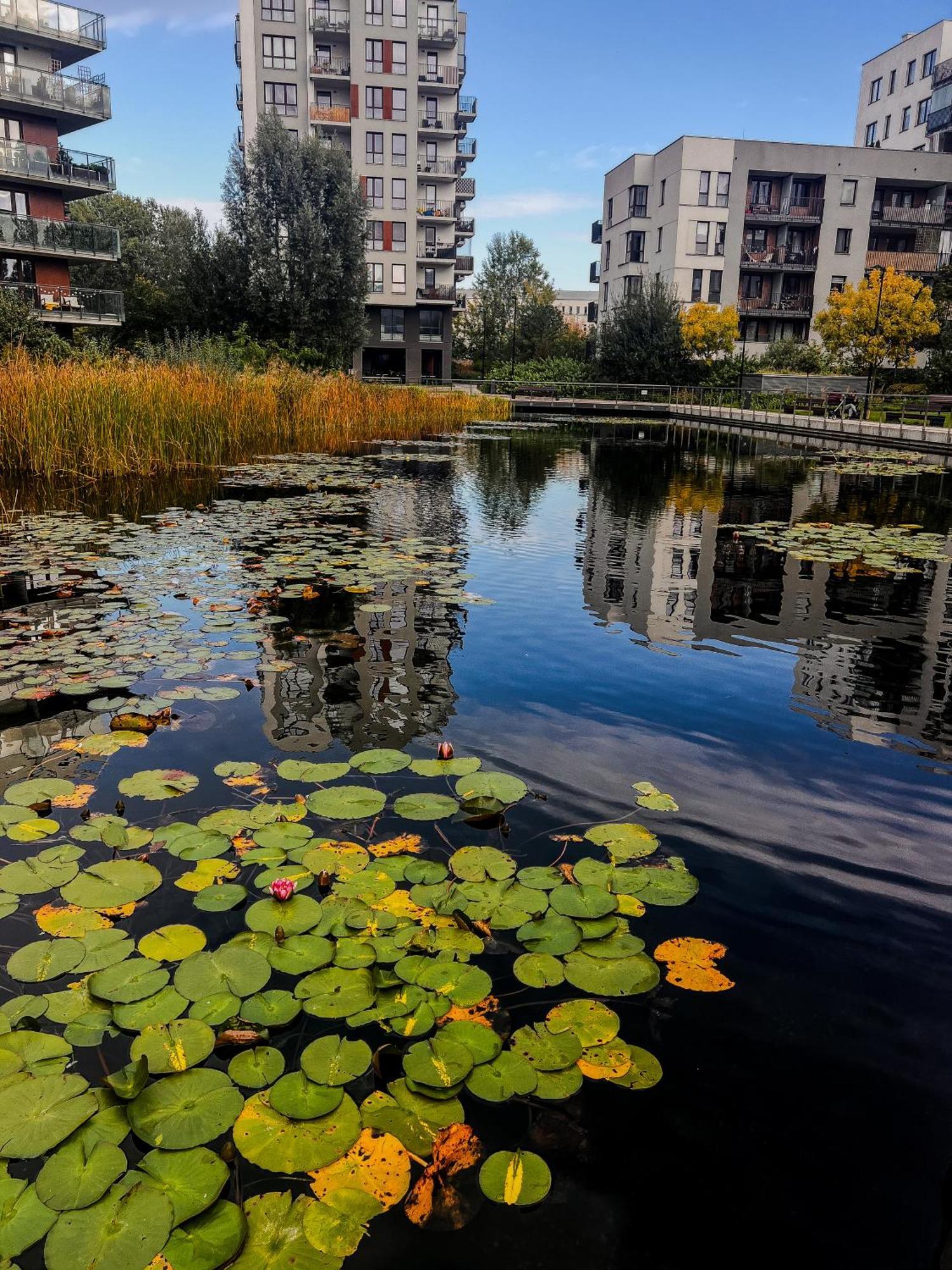 ワルシャワLake Park Apartament With Free Parking Airport Netflixアパートメント エクステリア 写真